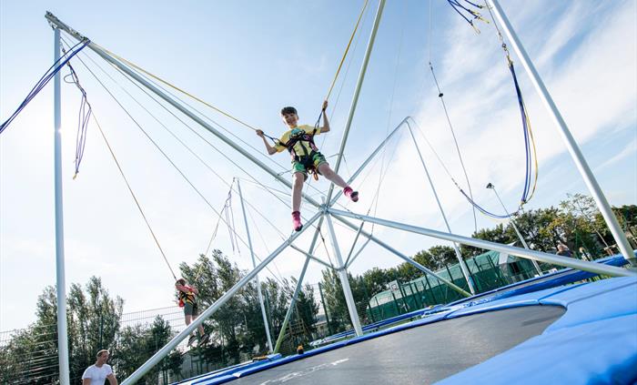 Bungee Trampolines